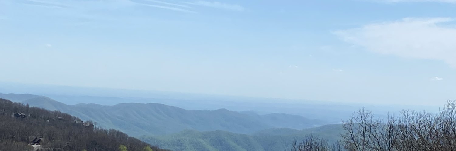 Amy Farley banner