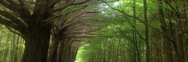 corry_marie Profile Banner