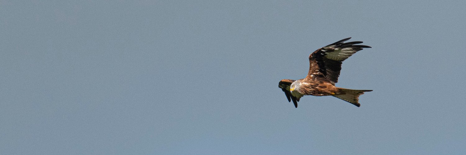 Anthony Robson (no longer in Edinburgh!) banner
