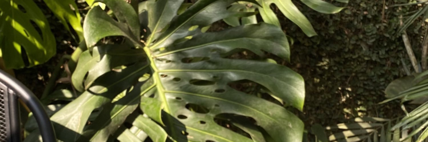 YarePijamas's profile banner image