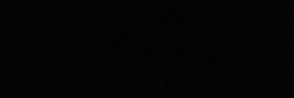 Nicole Leah Johnson's banner