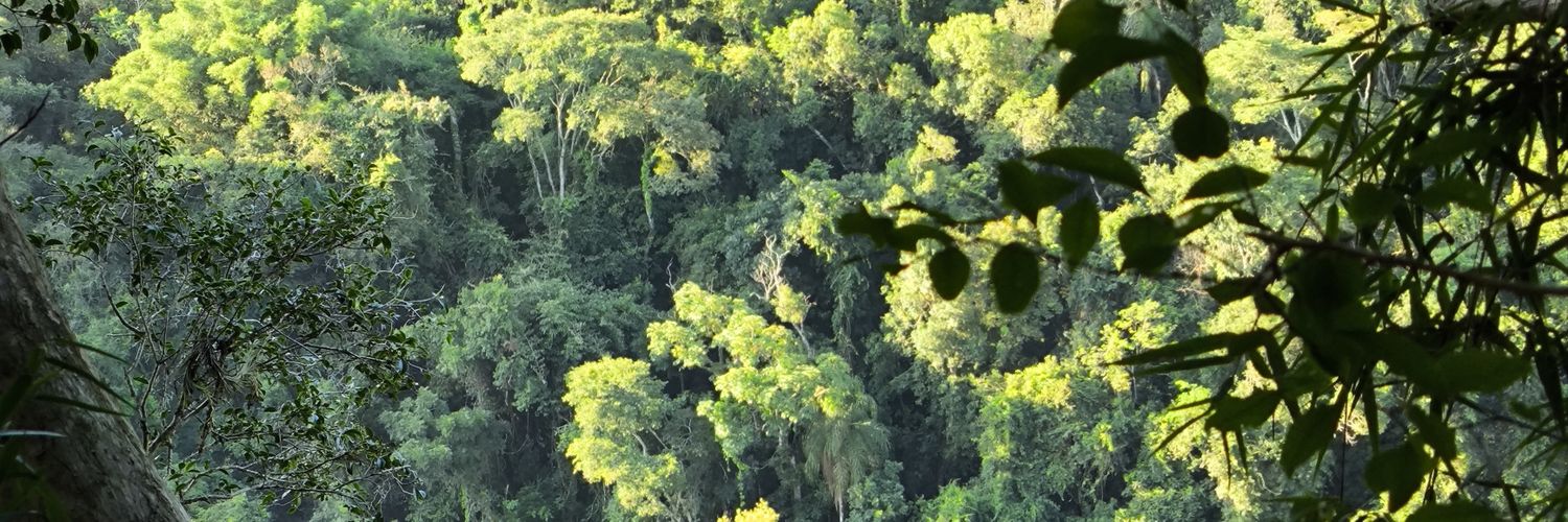 MinelloTiago's profile banner image