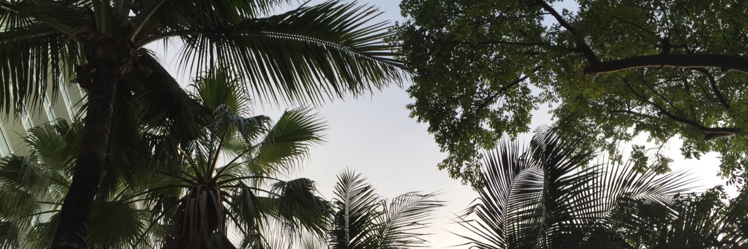 trinitys_'s profile banner image