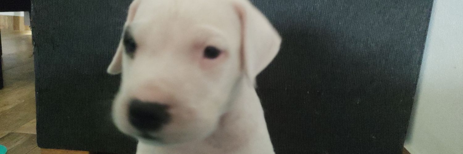 JuliiNieto2's profile banner image