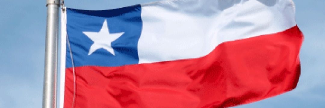 CopihueChilena's profile banner image