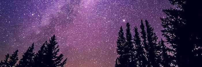 midnight_libe's profile banner image