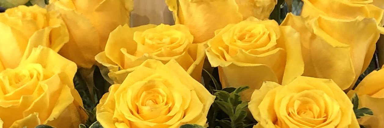 Jess_Lawrence_'s profile banner image