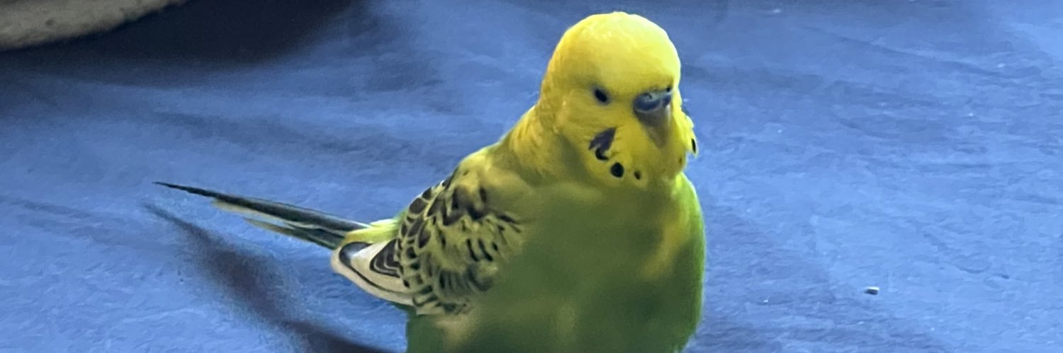 JulioThooe's profile banner image