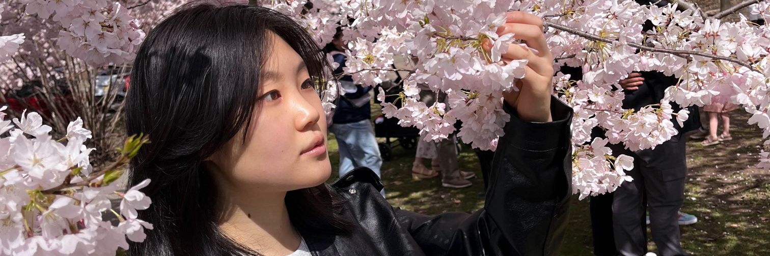Weilin | weichu on yt banner