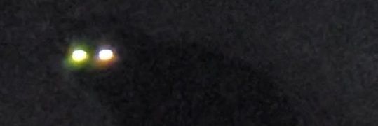 Barhatya برهتية banner