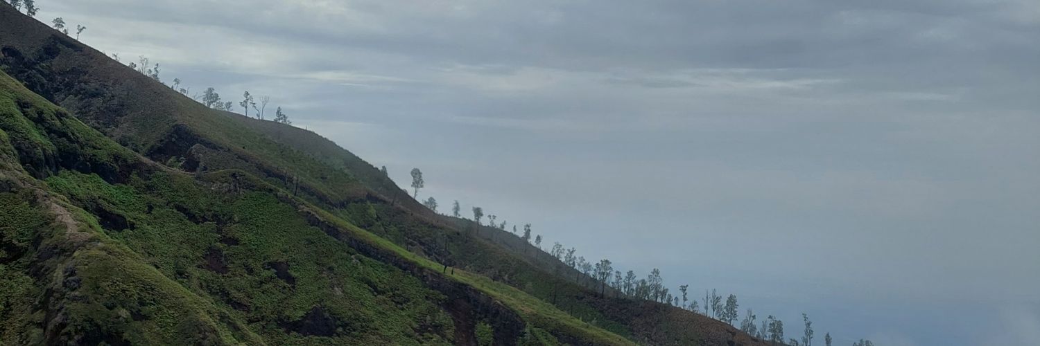 nonefree banner