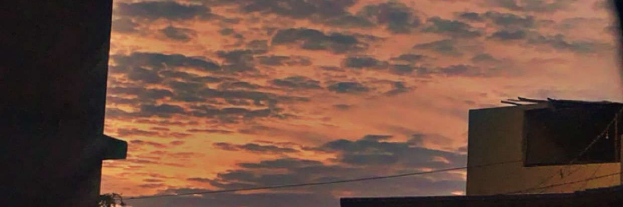 🍁's banner