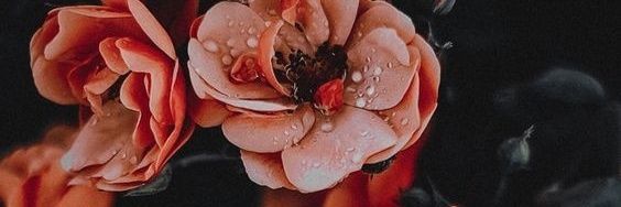 Juapasabe's profile banner image