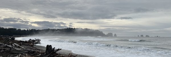 FadeadDjinn Profile Banner