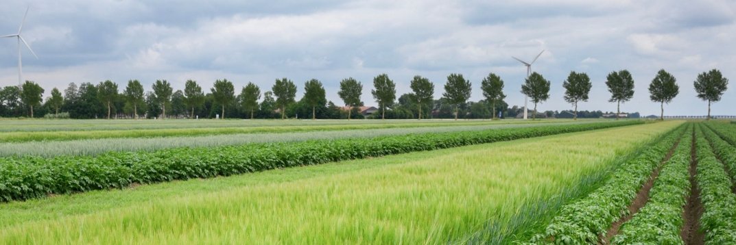 SUPPORT - Horizon Europe project banner