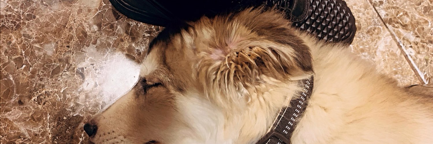 kngzma's profile banner image