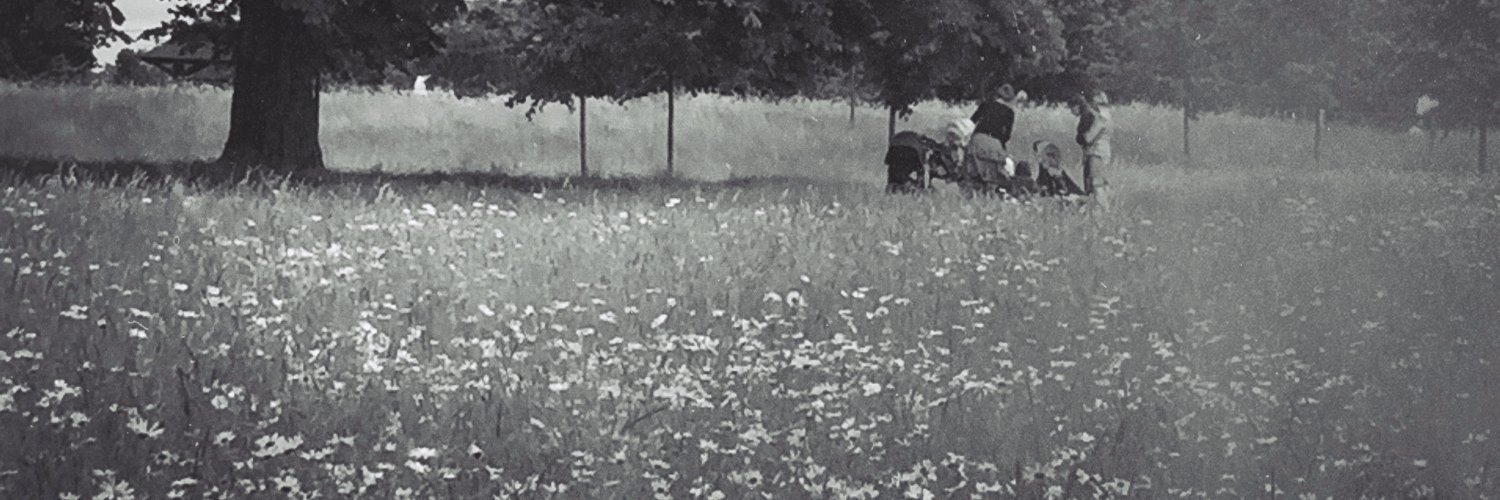 Stephanie Valera banner
