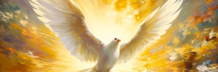TonyCha49637043's profile banner image