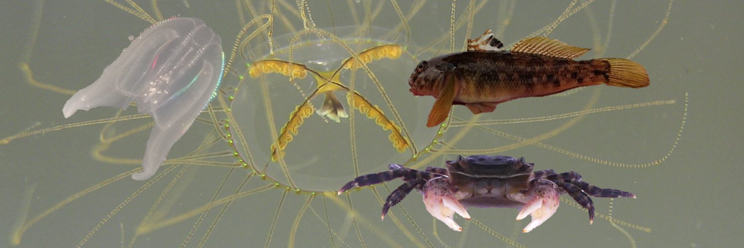 ClimateInvasives banner