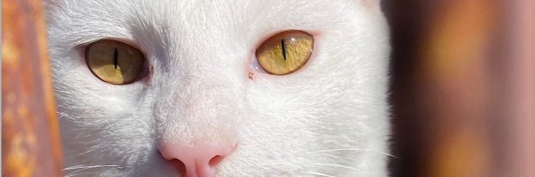mariamluna_'s profile banner image