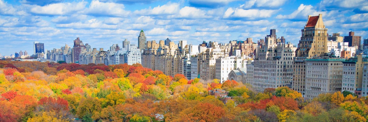 Amanda Calcetas banner