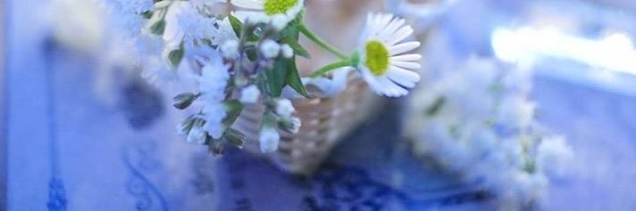 farah28333's profile banner image