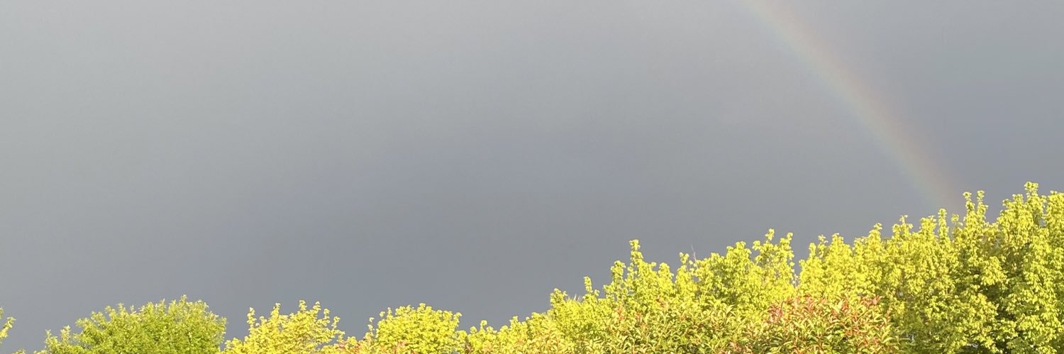 yanibendati's profile banner image