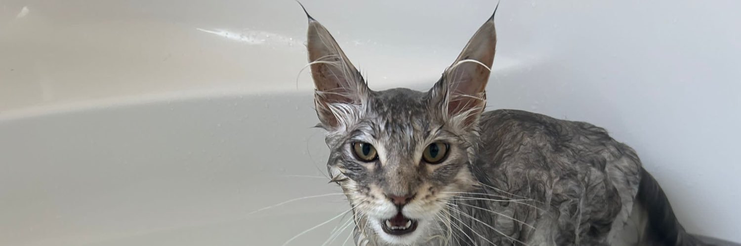 amore_meow's profile banner image