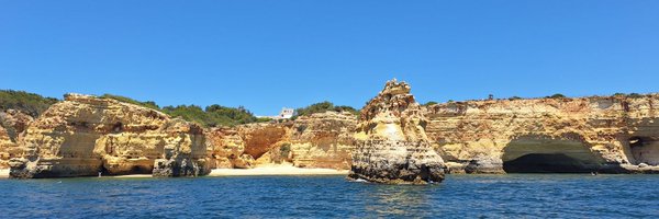 sclerodermasara Profile Banner