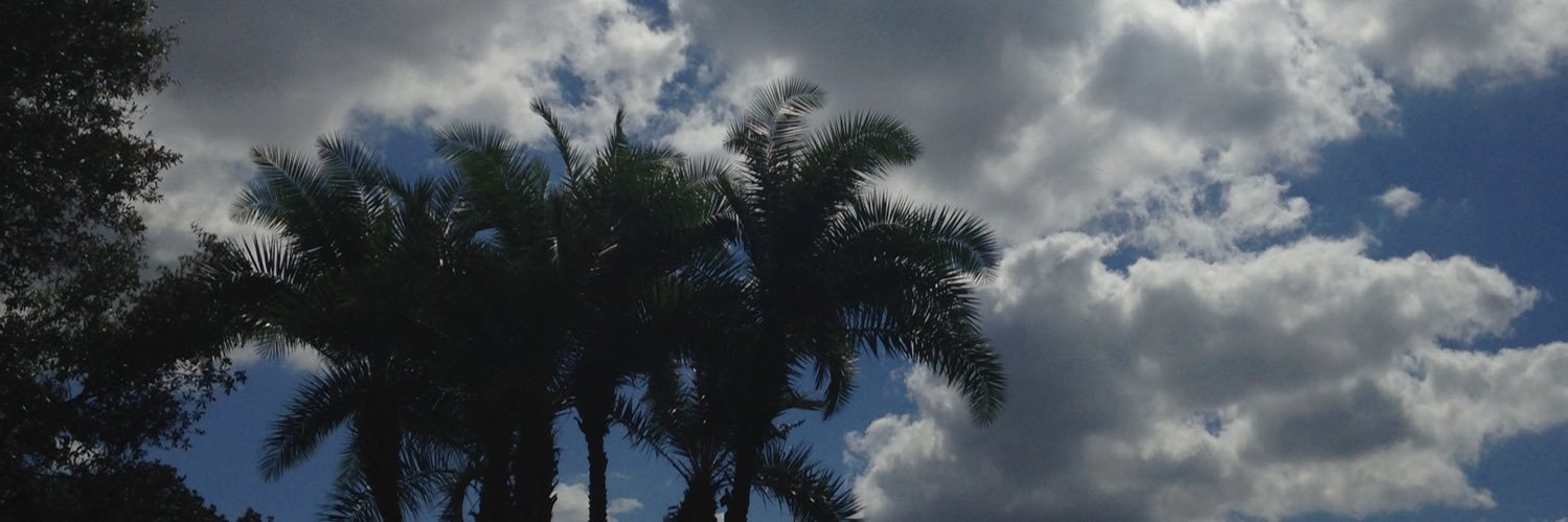 user87582's profile banner image