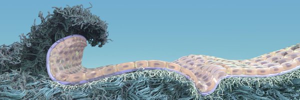 MultimodalECM Profile Banner