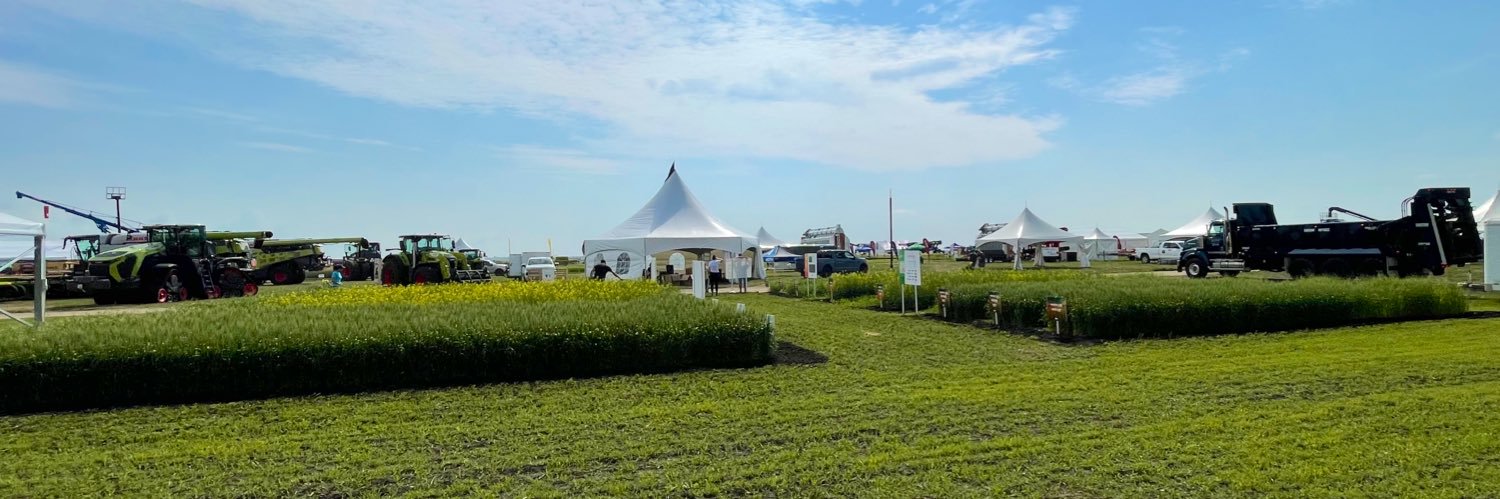 UPL Summer Experts banner