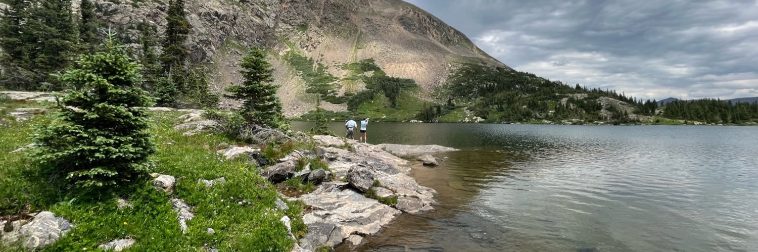 Ann Magee Stradinger banner