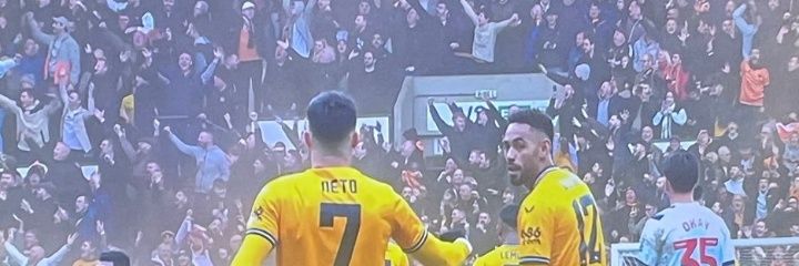 wwfc_michael's profile banner image