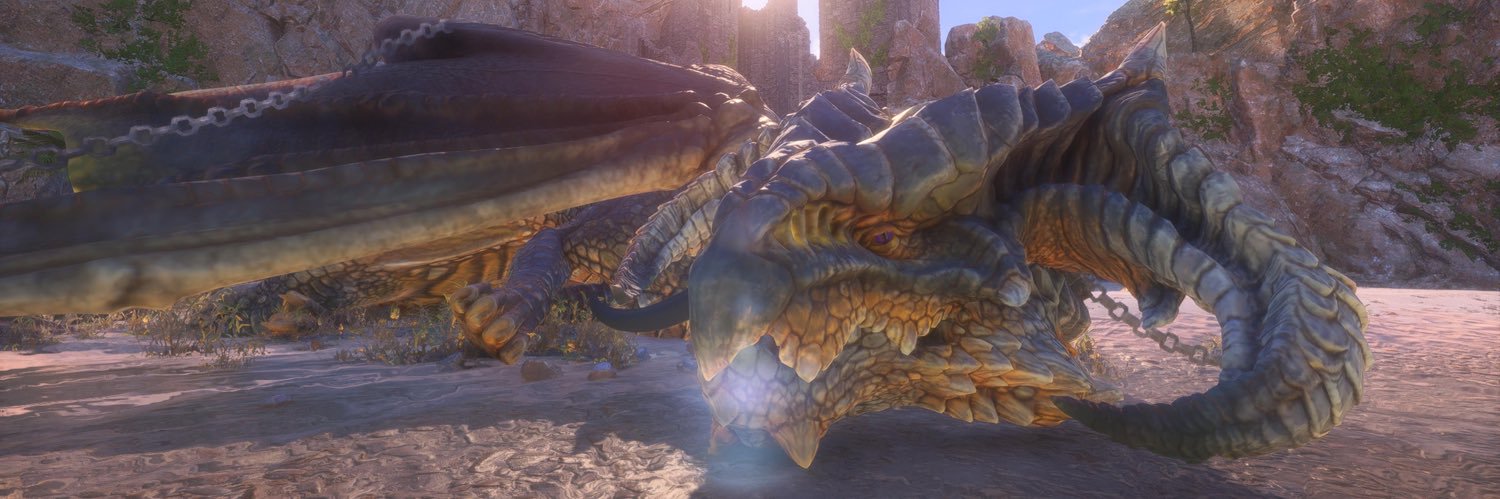 Mesophiliac's profile banner image