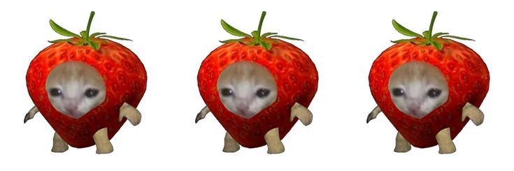 kittykssso's profile banner image