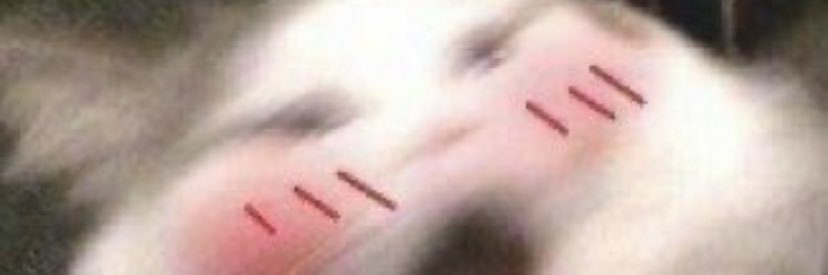 JefuKitteh's profile banner image
