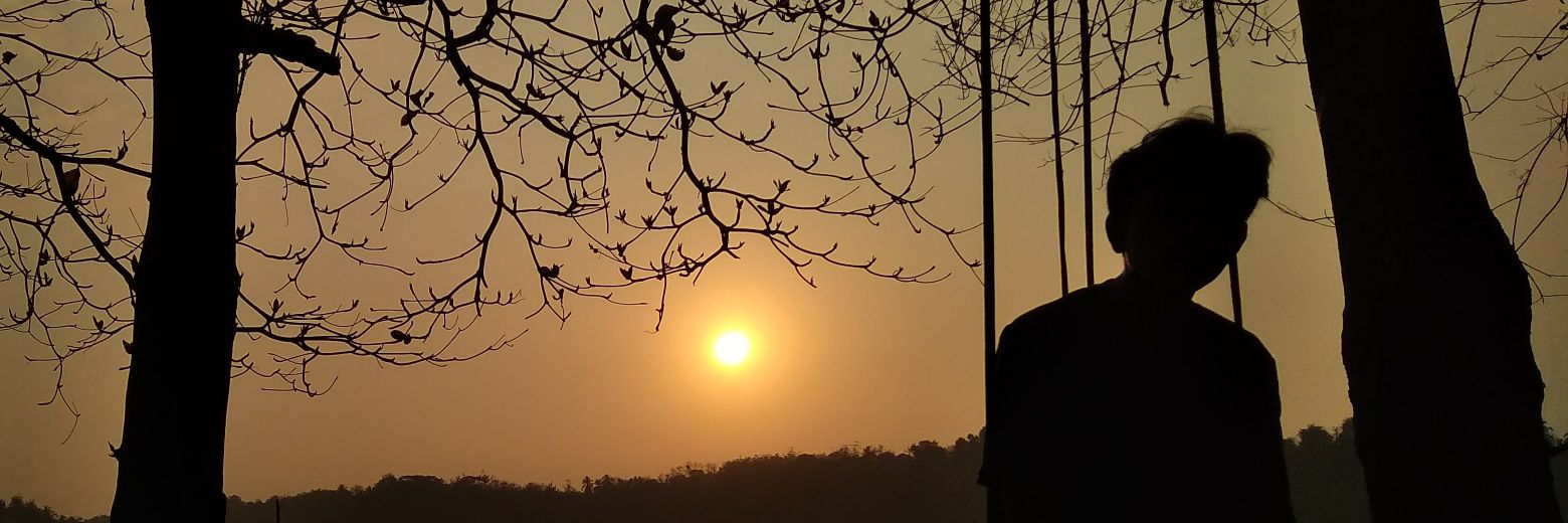 SaptaZott's profile banner image