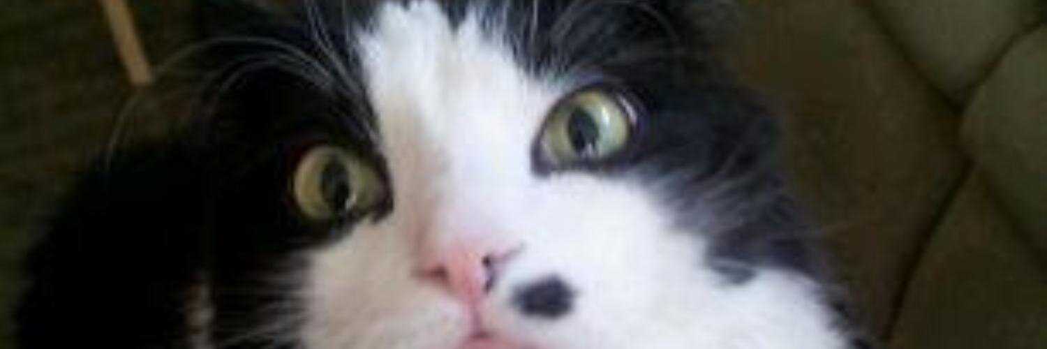 CBJ_Matt's profile banner image