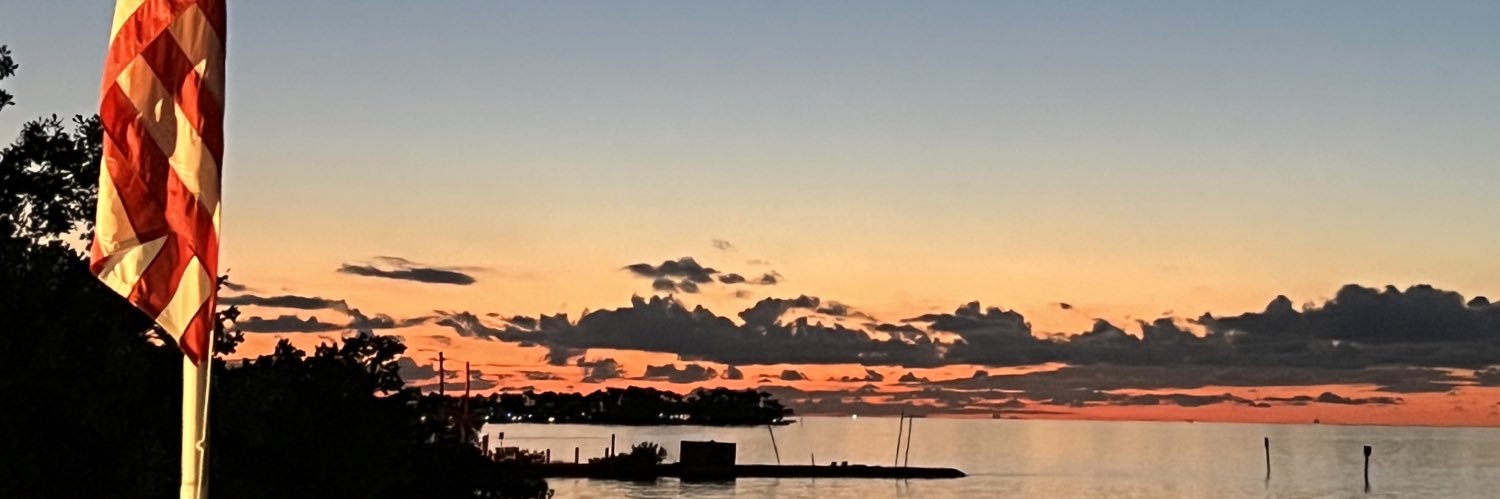 Free American banner