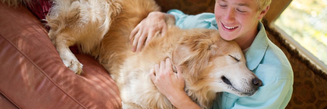 HandmadePet's profile banner image