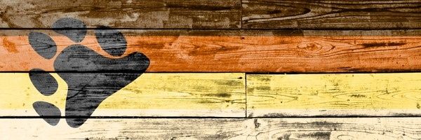Sebas ⬛🟫🟧🟨⬜ banner