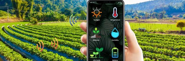 Coda_Sensor Profile Banner