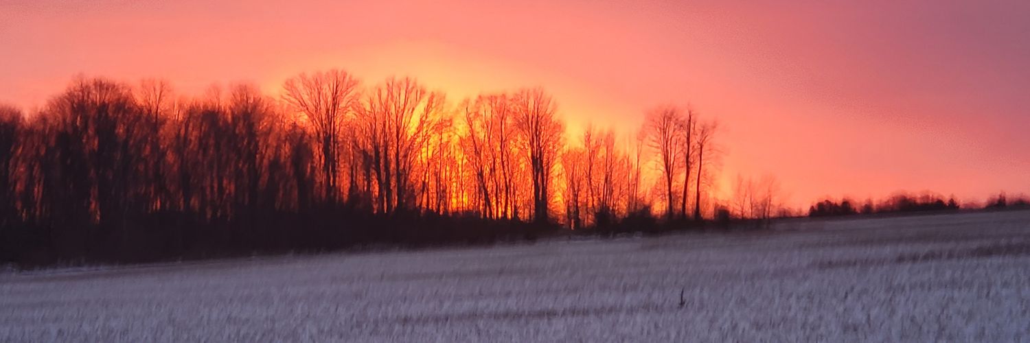 Dwarf🐊Gator💀 banner