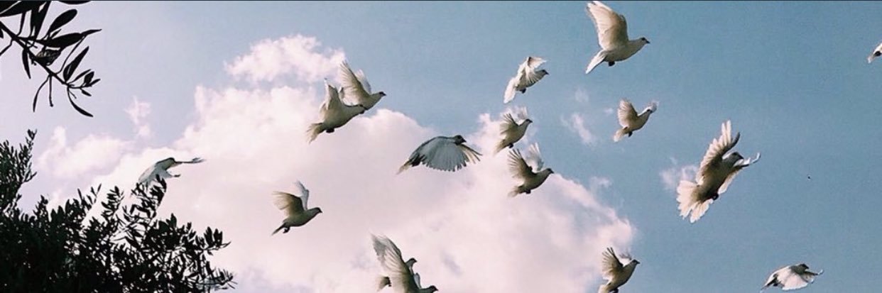 Leloo__E's profile banner image