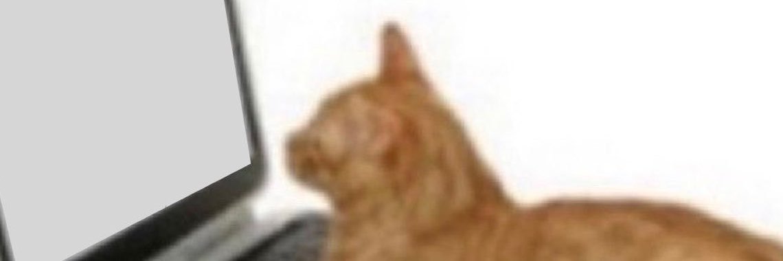 jqshnat's profile banner image