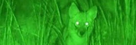 azupiranu's profile banner image