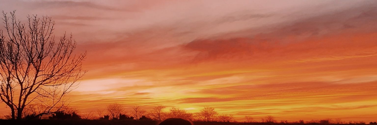 Pauchus_'s profile banner image