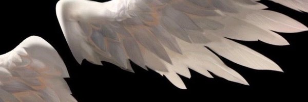 ifhygabe Profile Banner