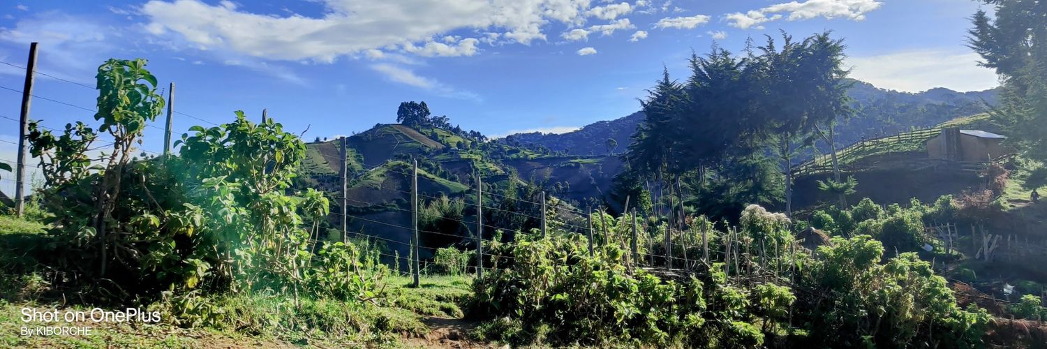 Philemon Kibor (Arapkoko Jnr) banner